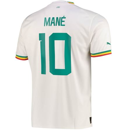 New Senegal Home Soccer Jersey World Cup 2022 Men Adult Mane #10