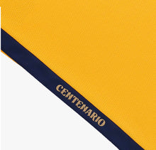 Load image into Gallery viewer, New Ecuador 2025 Centenary Away Soccer Jersey Men Adult Fan Version
