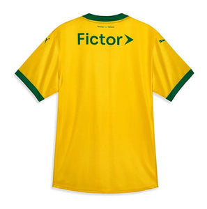 New Palmeiras Third 'Brazil' Soccer Jersey 2025/2026 Men Adult Fan Version