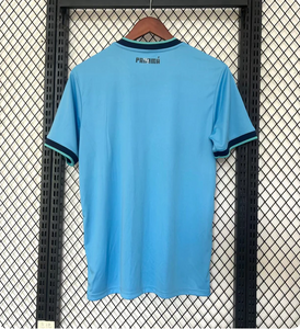 New Panama Away Soccer Jersey 2025/2026 Men Adult
